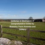 Catteries in Stalington: A Comprehensive Guide by Blakeley Farm Kennels and Cattery