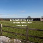 Catteries in Blythe Bridge: Your Pet’s Home Away From Home