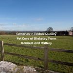 Catteries in Endon: Quality Pet Care at Blakeley Farm Kennels and Cattery