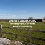 Catteries in Biddulph: Quality Pet Care by Blakeley Farm Kennels and Cattery