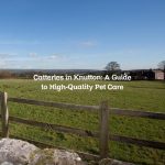 Catteries in Knutton: A Guide to High-Quality Pet Care