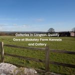 Catteries in Longton: Quality Care at Blakeley Farm Kennels and Cattery