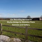 Car Boarding Services in Blythe Bridge by Blakeley Farm Kennels and Cattery