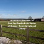 Experience Unmatched Car Boarding Service in Stalington at Blakeley Farm Kennels and Cattery