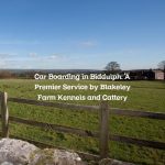Car Boarding in Biddulph: A Premier Service by Blakeley Farm Kennels and Cattery