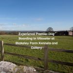 Experience Premier Dog Boarding in Uttoxeter at Blakeley Farm Kennels and Cattery