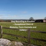 Dog Boarding in Knutton – Exceptional Care at Blakeley Farm Kennels and Cattery