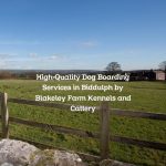 High-Quality Dog Boarding Services in Biddulph by Blakeley Farm Kennels and Cattery