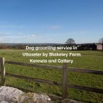 Dog grooming service in Uttoxeter by Blakeley Farm Kennels and Cattery