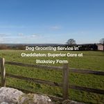 Dog Grooming Service in Cheddleton: Superior Care at Blakeley Farm