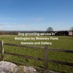 Dog grooming service in Stalington by Blakeley Farm Kennels and Cattery