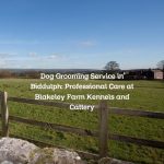 Dog Grooming Service in Biddulph: Professional Care at Blakeley Farm Kennels and Cattery