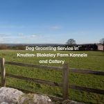 Dog Grooming Service in Knutton- Blakeley Farm Kennels and Cattery