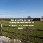 Dog grooming service in Werrington: Quality Care at Blakeley Farm Kennels and Cattery