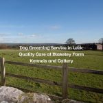 Dog Grooming Service in Leek: Quality Care at Blakeley Farm Kennels and Cattery