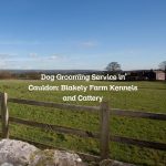 Dog Grooming Service in Cauldon: Blakely Farm Kennels and Cattery