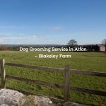 Dog Grooming Service in Alton – Blakeley Farm
