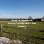 Dog grooming service in Longton: The Ultimate Pet Care Solution