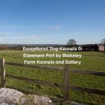 Exceptional Dog Kennels in Ellesmere Port by Blakeley Farm Kennels and Cattery