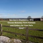 Service in Cheddleton: Why Choose Blakeley Farm Kennels and Cattery for Your Pet’s Care?