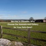 Service in Uttoxeter: Why Choose Our Kennels and Cattery for Your Pet’s Care?