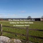 Why Choose Our Kennels and Cattery for Your Pet’s Care in Ellesmere Port?