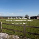 Service in Blythe Bridge: Why Choose Our Kennels and Cattery for Your Pet’s Care?