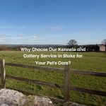 Why Choose Our Kennels and Cattery Service in Stoke for Your Pet’s Care?